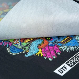 Servicio de impresión en DTF (ancho 31 cm)